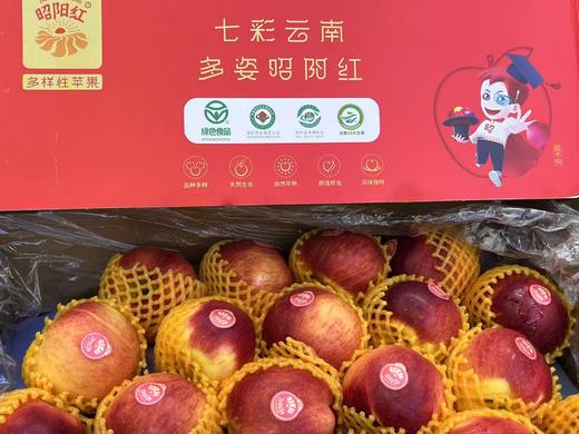 云南邵阳红苹果（5个装） 商品图0