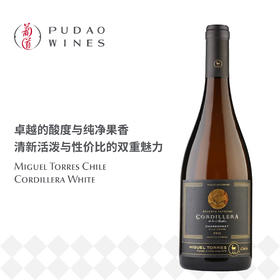 米高桃乐丝高迪丽娜干白葡萄酒 Miguel Torres Chile Cordillera White