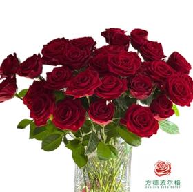 外购多头玫瑰-恋爱