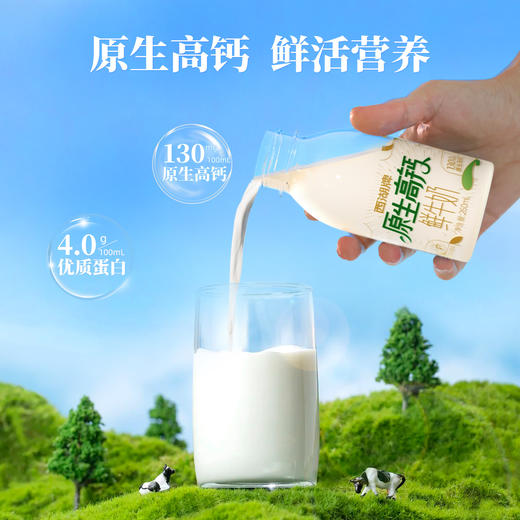 原生高钙260ml*3瓶（一次性配送） 商品图3