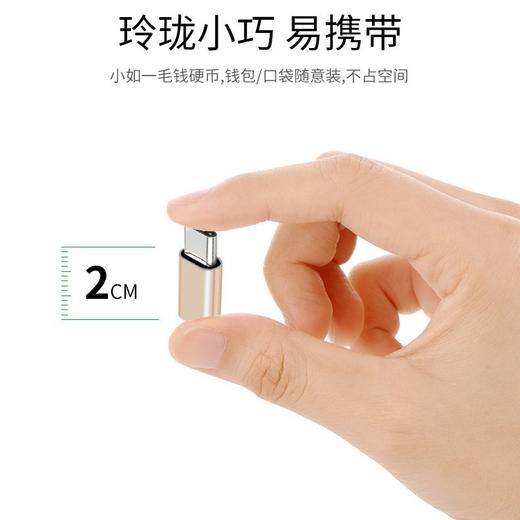 严选【苹果lighting母转type-c铝壳银色】转接头手机转换头 商品图1