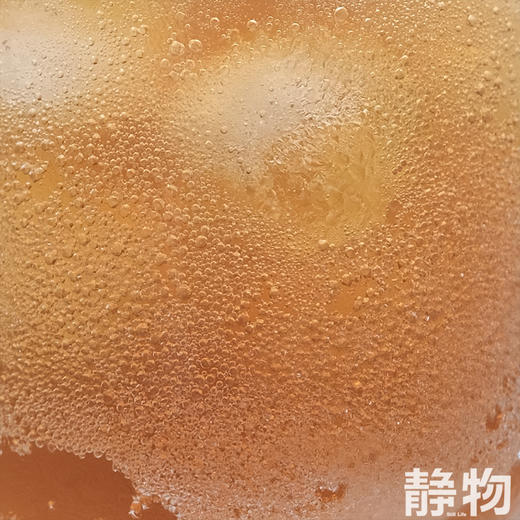 阿柑康普茶230ml｜丑美阿柑 商品图5