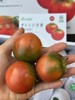草莓番茄（500g/份） 商品缩略图0