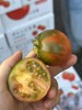草莓番茄（500g/份） 商品缩略图1