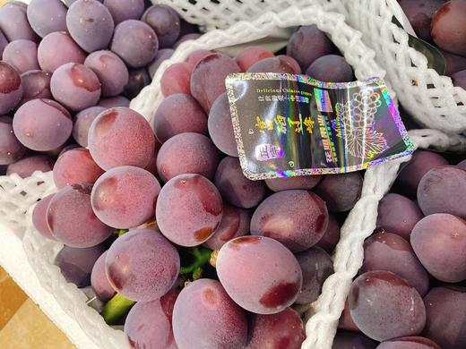 精品辽峰葡萄一串 商品图2