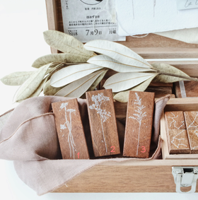 马来西亚 jieyanow 野花草  in the wild2