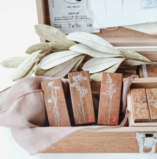 马来西亚 jieyanow 野花草  in the wild2 商品图0