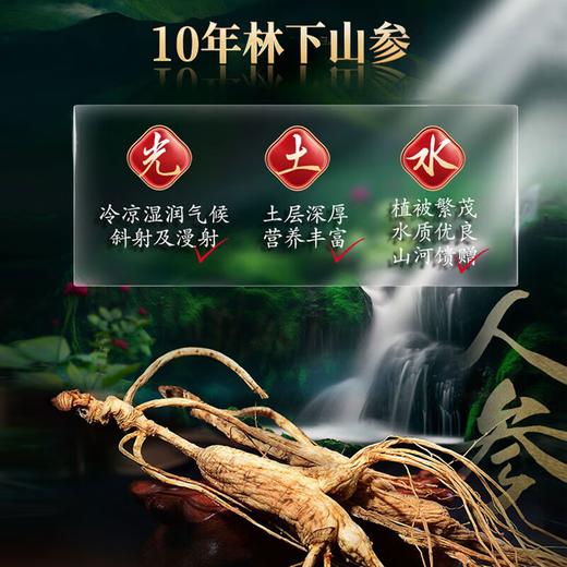 劲牌 38°参茸劲酒500ml【商端养生 礼品酒 】 商品图9