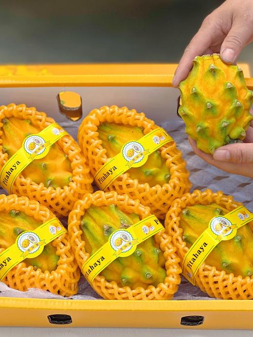 海南•燕窝果 商品图0