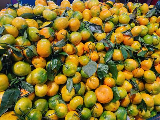 叶桔3斤 商品图0