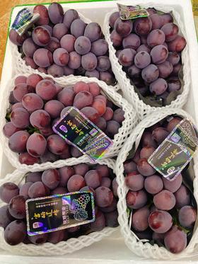 精品辽峰葡萄一串