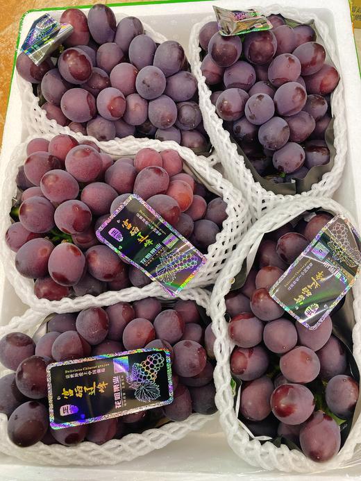 精品辽峰葡萄一串 商品图0