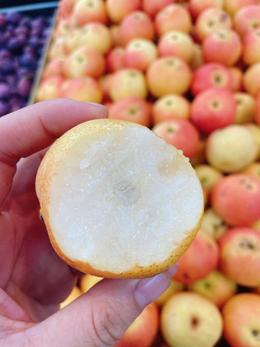 红南果梨2斤 商品图1