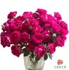 外购多头玫瑰-团甜 商品缩略图0