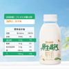 【同城配送】西湖牌原生高钙260mL*2瓶+碱水面包丁35g*3包（一次性配送） 商品缩略图6