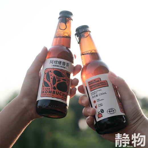 阿柑康普茶230ml｜丑美阿柑 商品图3