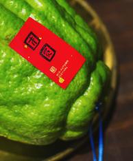 佛手柑（不含盘） 商品图2