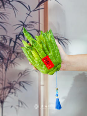 佛手柑（不含盘）