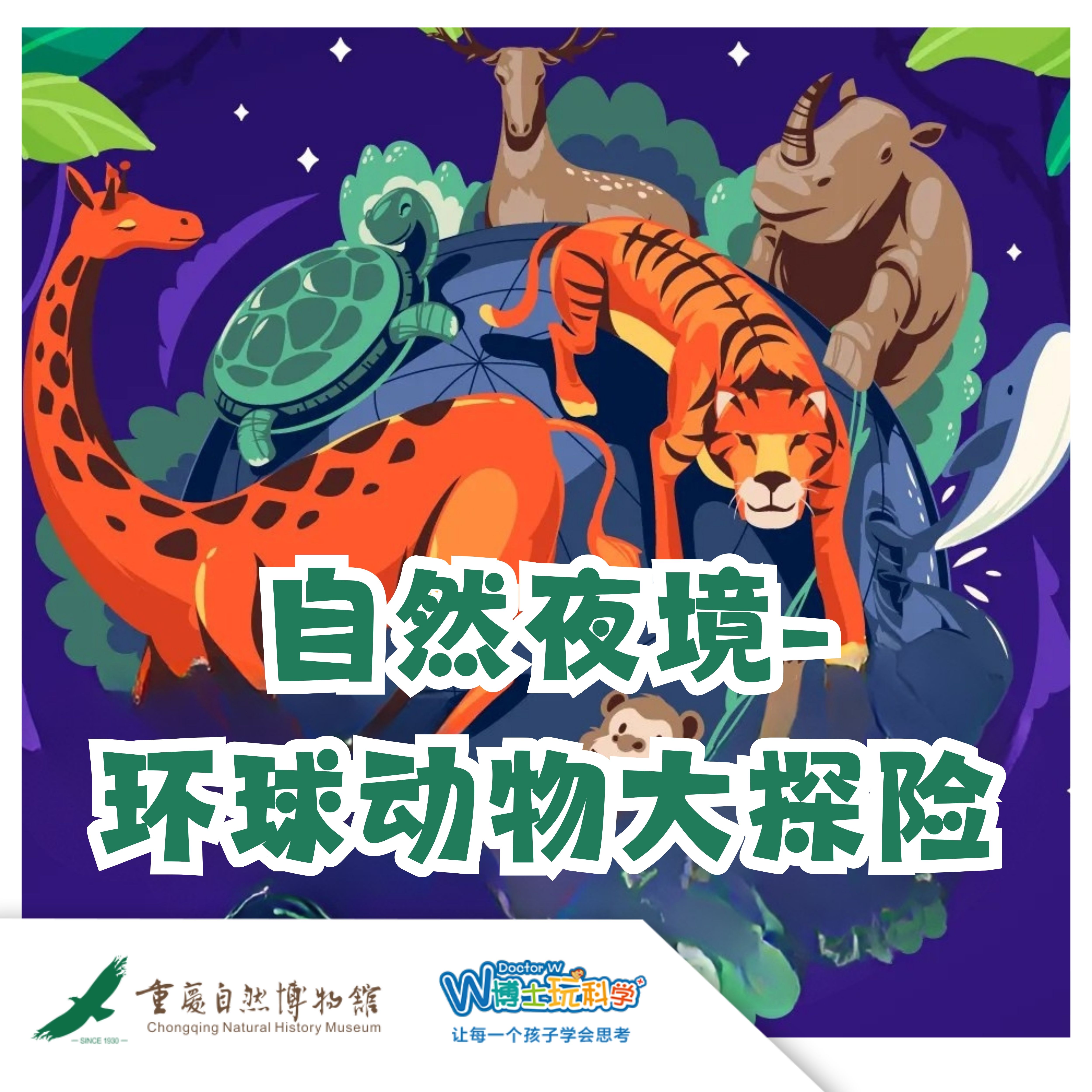 【重庆自然博物馆】自然夜境-  环球动物大探险！