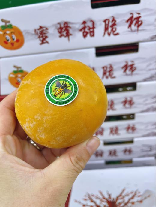 蜜蜂脆柿子一箱 商品图4