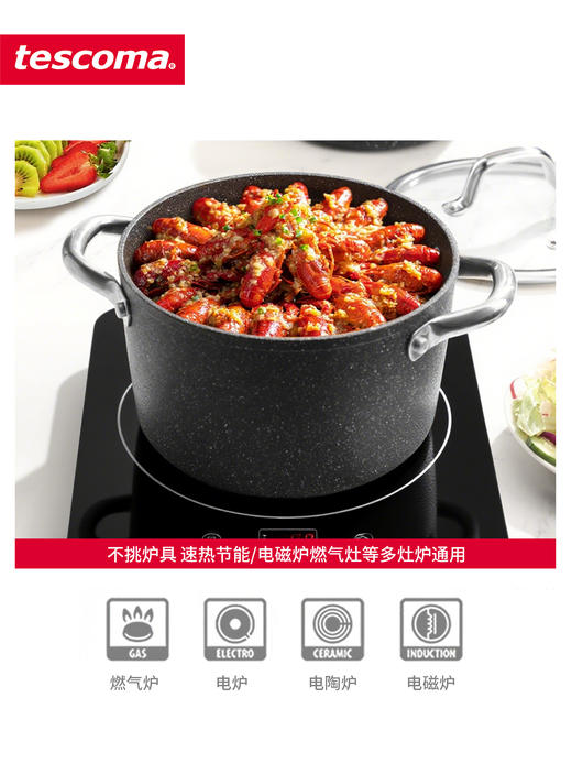 捷克进口/tescoma石面汤锅不粘锅家用双耳煮粥锅电磁炉燃气适用4.5升 商品图1