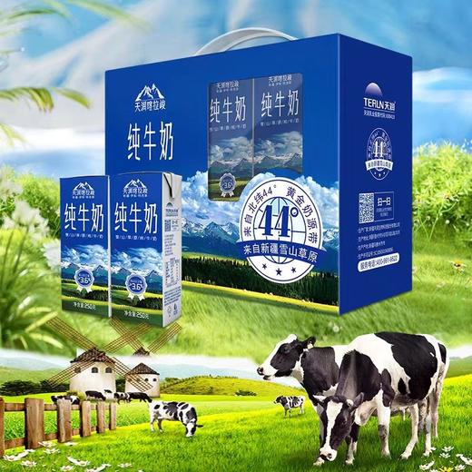 天润喀拉峻纯牛奶 250 克×12 瓶 商品图1