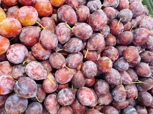 西梅2斤 商品图0