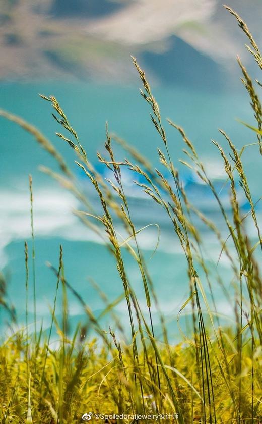 SpoiledBrat Jewelry金色螺旋耳圈系列 |  绿松石款 商品图5