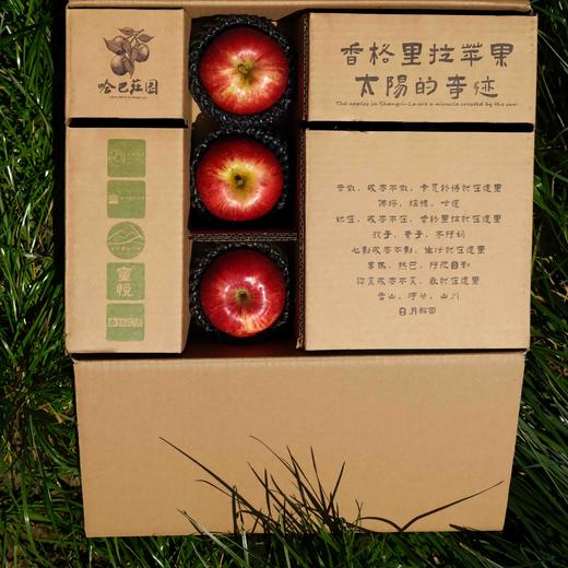 香格里拉丹霞苹果礼盒 （快递发货） 商品图2