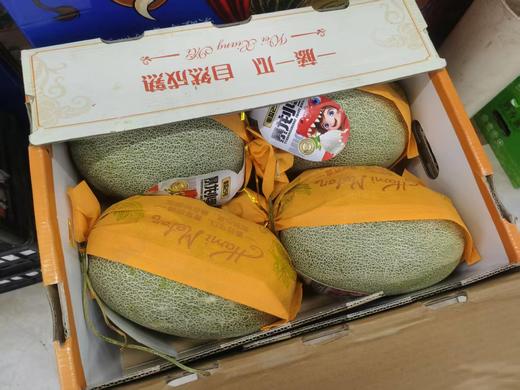 微香蜜瓜一箱 商品图1