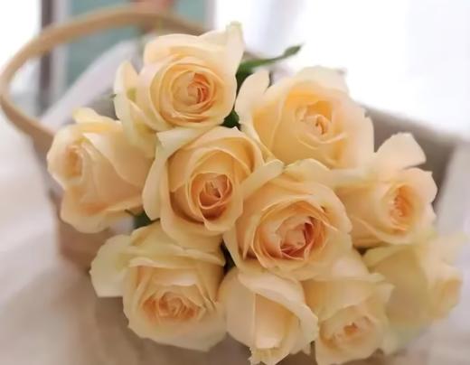 【次日达】香槟玫瑰（10支）钟情唯一 优雅与沉着 商品图1