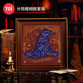 TOi图益-哈利波特-分院帽相框套装-120片