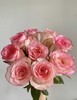 【次日达】爱莎玫瑰（10支）玫瑰中的“劳斯莱斯” 商品缩略图0