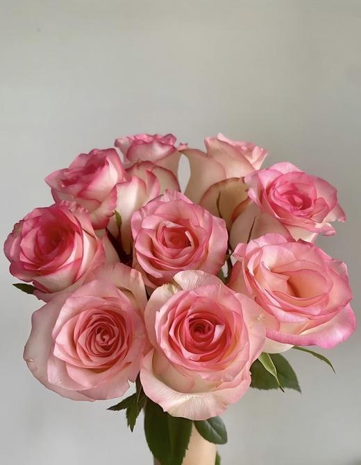 【次日达】爱莎玫瑰（10支）玫瑰中的“劳斯莱斯” 商品图0