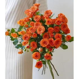 【次日达】橙多头玫瑰（5支）勇敢挑战  勇往直前
