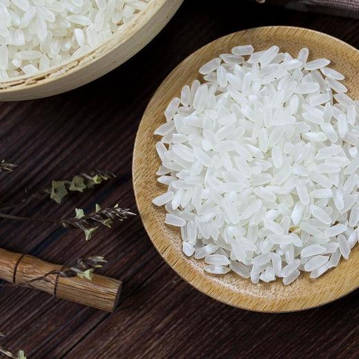 黑土小镇 五常大米5kg 商品图3