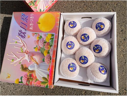 粉箱秋月梨礼盒 商品图5