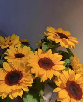 【次日达】向日葵（5支)  向阳而生 阳光明亮