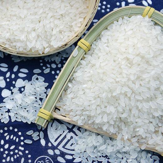 黑土小镇 五常大米5kg 商品图2