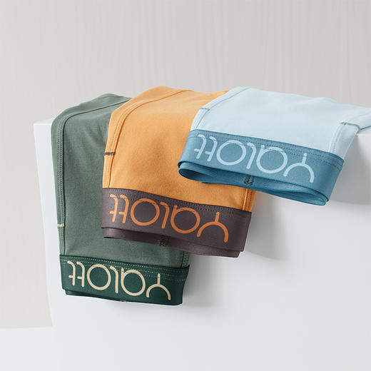 【雅兰特】少男内裤1条装/3条装 商品图5