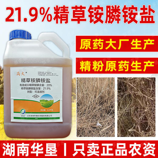 正品21.9%精草铵膦铵盐果园柑橘园非耕地除杂草灭生性除草剂农用 商品图0