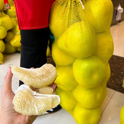 本地东试早 柚子 泡果 商品图0