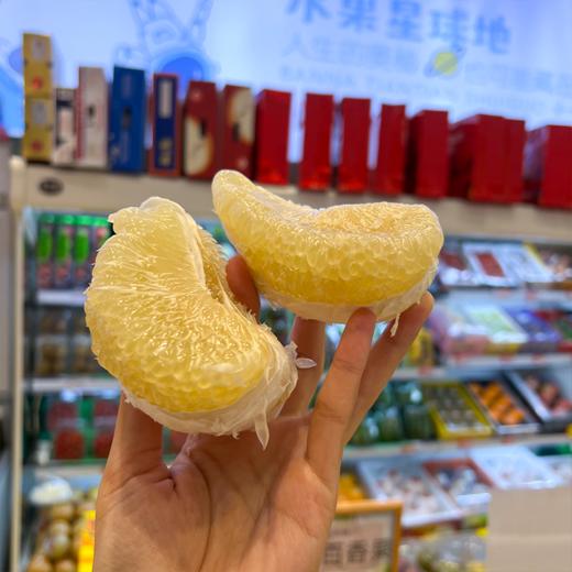 本地东试早 柚子 泡果 商品图2