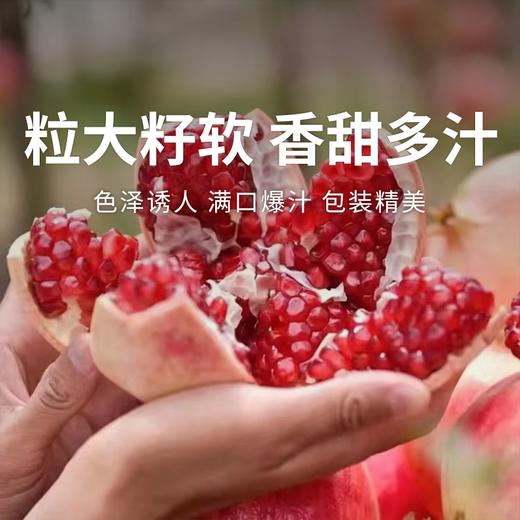  【突尼斯软籽石榴】粒大籽软，香甜多汁，一口爆汁超满足，节礼佳选~ 商品图0