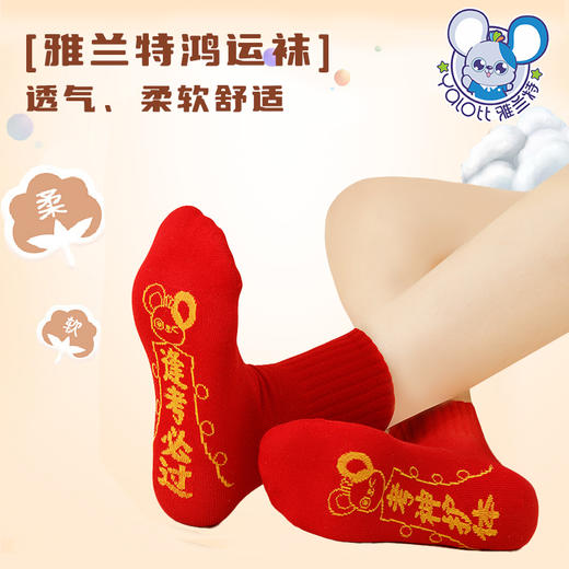 【买1送1】【雅兰特&鸿运袜】新年好运学生红袜子 商品图0