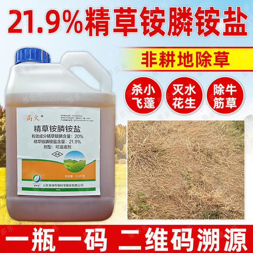 正品21.9%精草铵膦铵盐果园柑橘园非耕地除杂草灭生性除草剂农用 商品图3