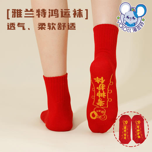 【买1送1】【雅兰特&鸿运袜】新年好运学生红袜子 商品图4
