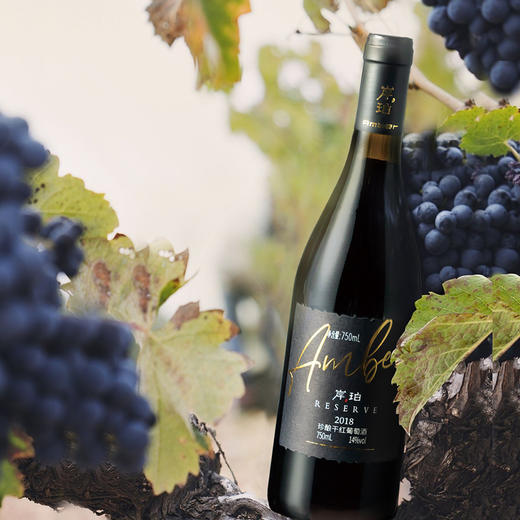 岸珀珍酿2018干红葡萄酒 商品图3