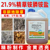 正品21.9%精草铵膦铵盐果园柑橘园非耕地除杂草灭生性除草剂农用 商品缩略图4