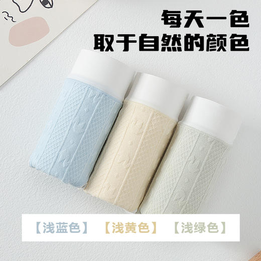 【雅兰特】少女内裤1条装/3条装 商品图3